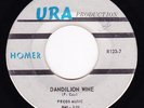 Homer-Dandilion Wine-Rare TX. Garage Psych 45-LISTEN