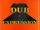 THE REVOLUTIONARIES Dub Expression Jamaican 10 track LP