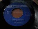 ROCKIN' RAMRODS MR WIND GREAT 60'S U.S. PUNK 45 LISTEN