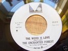 THE ENCHANTED FOREST RARE GIRL GARAGE/PSYCH VARIATIONS