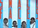 THE SMALL FACES. All or Nothing. Spanish Promo (52)