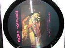 MOTLEY CRUE-BAT SHAPED INTERVIEW PICTURE DISC