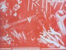 KISS - Destroys anaheim - RARE LIVE LP 1976 - MINT