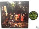 FEATHERS - Feathers Family Folk RARE LP Devendra Espers