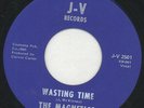 MAGNETICS: Wasting Time (rare soul vinyl 45)