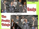 60S MOD FREAKBEAT THE PRETTY THINGS ROSALYN PIC/SLE