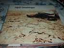 RJD2 - Deadringer 2LP 2002 DEF JUX PRESSING