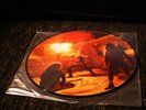 Immortal - Diabolical Fullmoon Mysticism org PicLP Rare