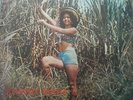 johnny mara tito chicoma salsa guaguanco  VA  ??