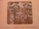 MARKEVITCH/ stravinsky* rite of spring  /new1955 lp