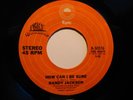 70's Soul 45 RANDY JACKSON How Can I Be Sure EPIC HEAR