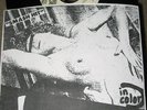 DIRTBOMBS Jolene 7