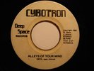 Detroit Techno 45 CYBOTRON Alleys... DEEP SPACE HEAR