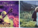 moog funk OKKO BECKER  - Sitar & Electronics *HEAR*