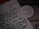 Bumblebee Unlimited - I got a big bee - Rca 12
