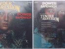 DIETER REITH boogie funk TENDER AGGRESSION 1 *HEAR*