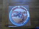Rare Lynyrd Skynyrd 12