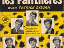 Les Pantheres