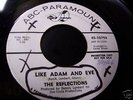 The Reflections-Like Adam and Eve 45 Garage Band 1966