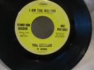 The BEATLES Rare Not For Sale Promotion Record 45 RPM