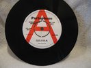 The BEATLES Rare Not For Sale, Demonstration Record 45