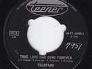 TELSTARS True Love Has Gone Forever FREAKBEAT MONSTER