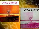 PINK FLOYD - Astronomy Domine -Turkish Edition 33 Cm LP