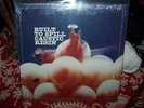 Built to Spill Caustic Resin vinyl mint modest mouse