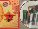 KATE BUSH: The Kick Inside PICTURE DISC LP