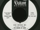THE GRAINS OF SAND SHE NEEDS ME PEBBLES GARAGE PUNK EX