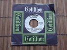 MOD/DANCER DJ-THE MOHAWKS-CHAMP/SOUND OF WITCH DOCTORS