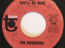 Rare Northern Soul THE ROSEBUDS Say You'll Be Mine ??45