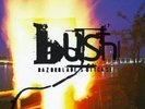 Bush  Razorblade Suitcase sealed LP Steve Albini record