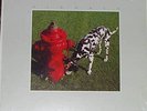Rush-Signals-Sealed Record Album LP