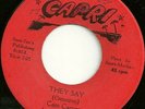Cam Cameron - They say - CAPRI
