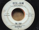 '65 garage   GODFREY  The Trip  45  vg  Kim Fowley