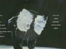 Michael Jackson (Vinyl Picture Disc) History - Future