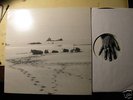 Alvarius B-S/T LP Sun City Girls Jandek Jack Rose OOP
