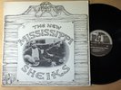 BLUES New Mississippi Sheiks ROUNDER LP RARE BLUES FOLK