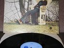 CHRISTINE PERFECT - RARE, BLUE HORIZON ALBUM, S 7-63860