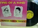 JUNIOR REID & TEEZY - TWO OF A KIND / WAMBESI LP