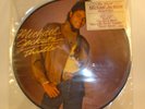 The Official Michael Jackson Picture Disc Thriller