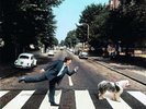 PAUL McCARTNEY - PAUL IS LIVE (LONG PLAY (LP))