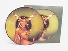RARE 1979 CHER TAKE ME HOME PICTURE DISC RECORD LP MINT