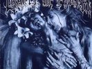 CRADLE OF FILTH 