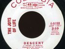 JOYS OF LIFE 2-sider GARAGE/NORTHERN SOUL 45 listen