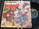 BEACH BOYS LP CAPITOL T2859 (MONO) WILD HONEY SHRINK NM