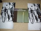 Sonic Youth Daydream Nation gatefold double Blast First