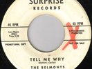 BELMONTS Surprise 1000 DJ 