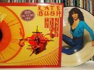 Kate Bush - The Kick Inside Picture Disc NM